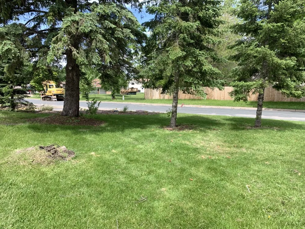 Trusted landscape installation with custom design across Minneapolis, MN - Derrell's Lawn Care & Snow Removal Service