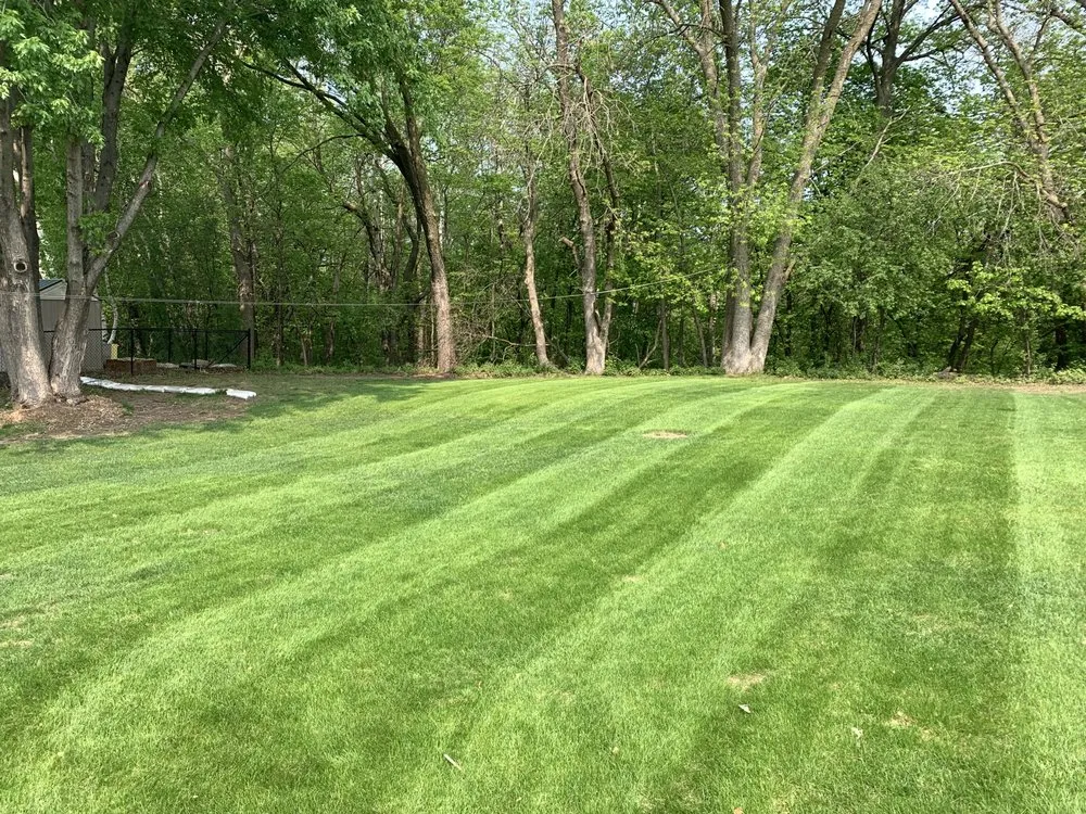 Reliable yard cleanup service for outdoor upgrades across Minneapolis, MN - Derrell's Lawn Care & Snow Removal Service