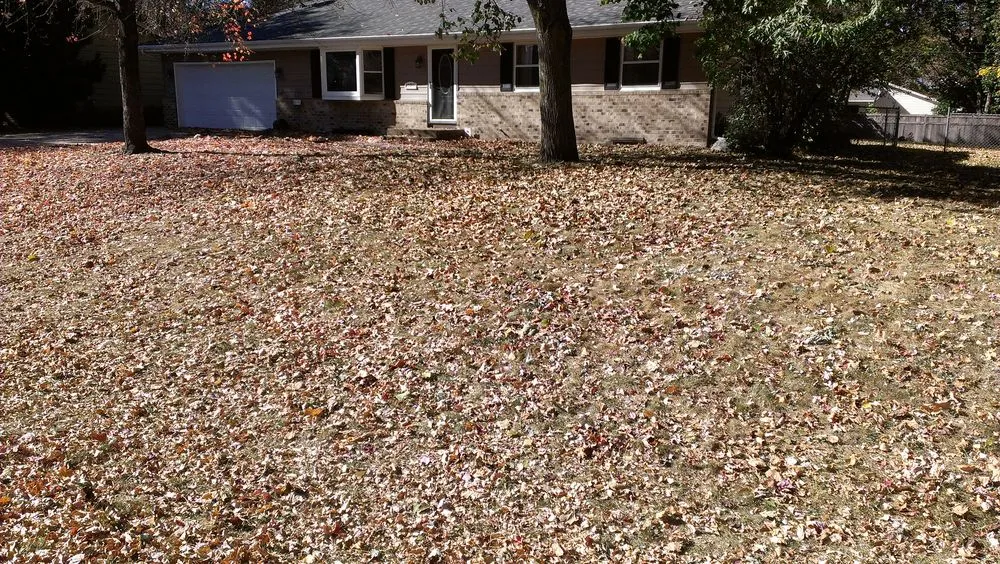 Custom landscaping services for year-round maintenance across Minneapolis, MN - Derrell's Lawn Care & Snow Removal Service