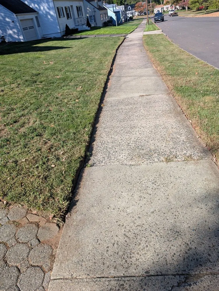 Top-rated yard cleanup service in New Haven, CT - Derrex Landscaping