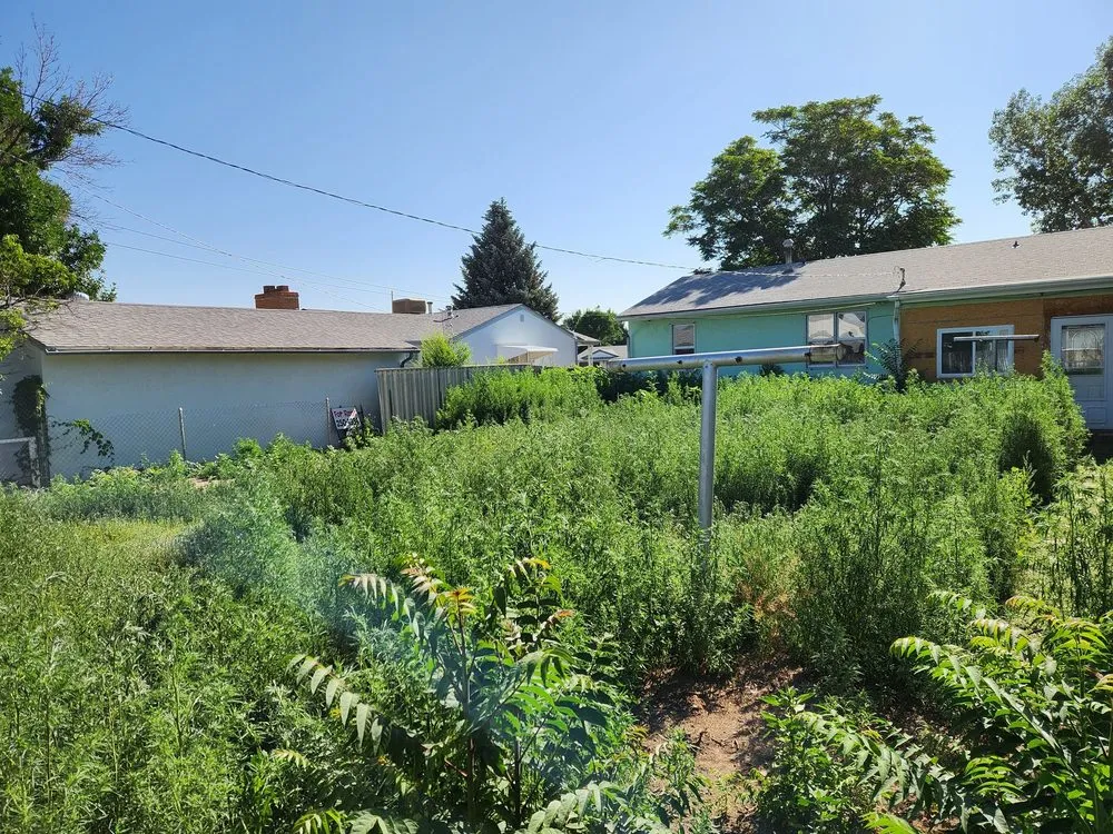 Trusted landscaping services with custom design in Pueblo, CO by Derrick & Derrick's Tree & Lawn Service