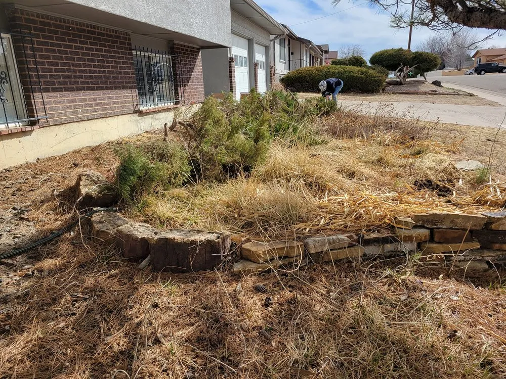 Custom yard maintenance in Pueblo, CO - Derrick & Derrick's Tree & Lawn Service