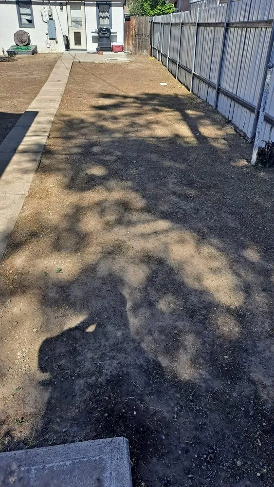 Top-rated yard maintenance in Pueblo, CO - Derrick & Derrick's Tree & Lawn Service