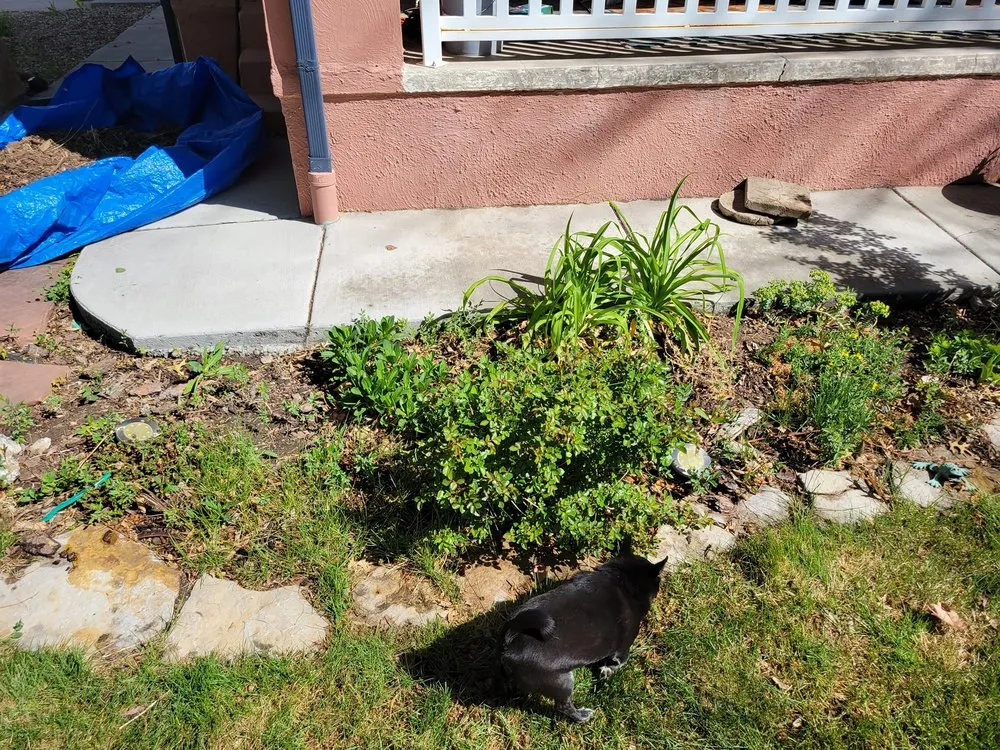 Reliable garden landscaping in Pueblo, CO by Derrick & Derrick's Tree & Lawn Service