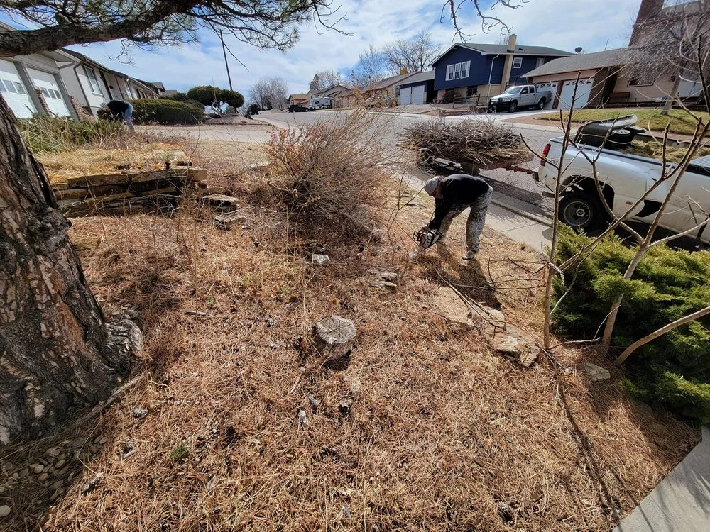 Affordable yard cleanup service experts serving Pueblo, CO - Derrick & Derrick's Tree & Lawn Service