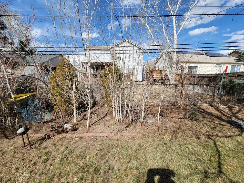 Trusted yard cleanup service in Pueblo, CO - Derrick & Derrick's Tree & Lawn Service