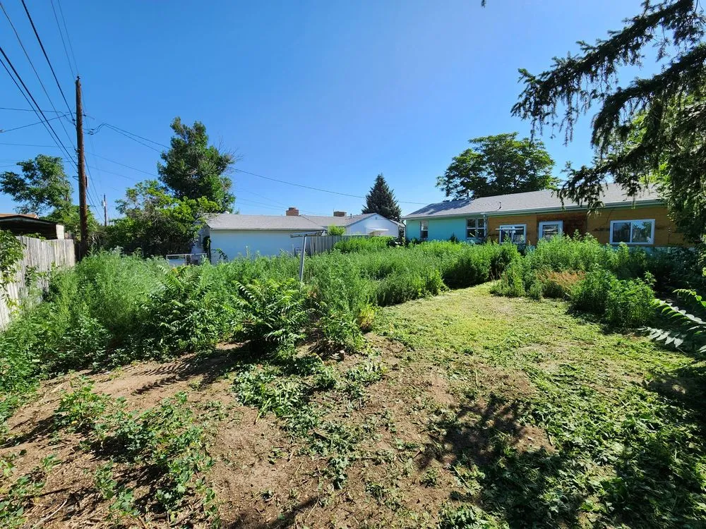 Affordable yard cleanup service near you across Pueblo, CO - Derrick & Derrick's Tree & Lawn Service