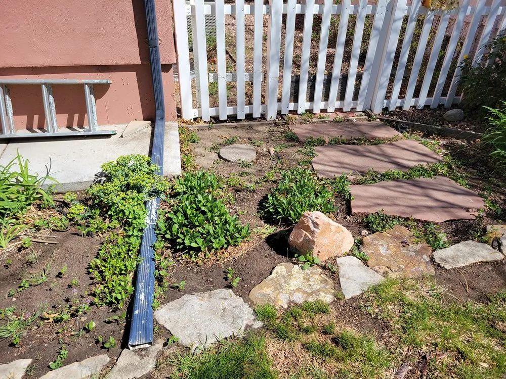 Trusted yard maintenance in Pueblo, CO by Derrick & Derrick's Tree & Lawn Service