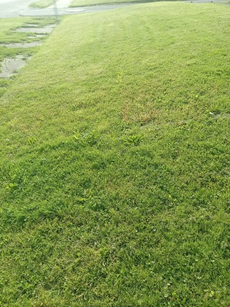 Professional landscape design in Mansfield, OH by Derrick and son