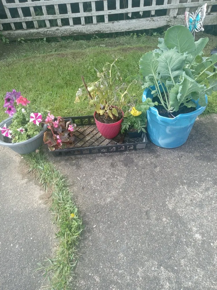 Reliable lawn mowing service experts serving Mansfield, OH - Derrick and son