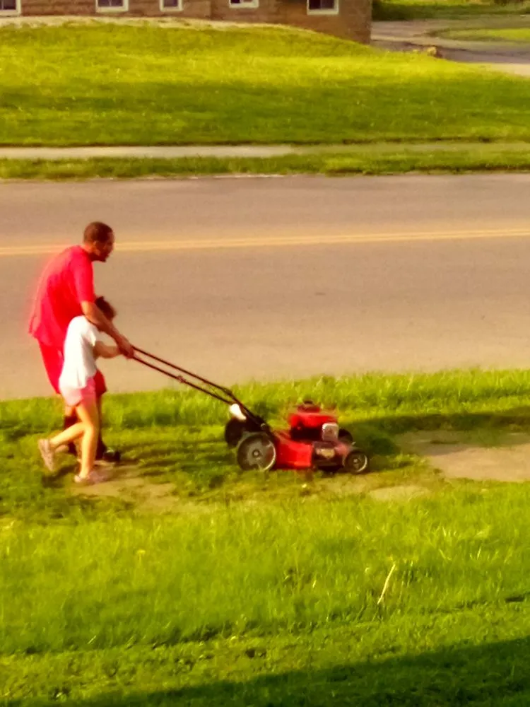 Top-rated yard cleanup service for residential properties in Ontario, OH by Derrick and Son