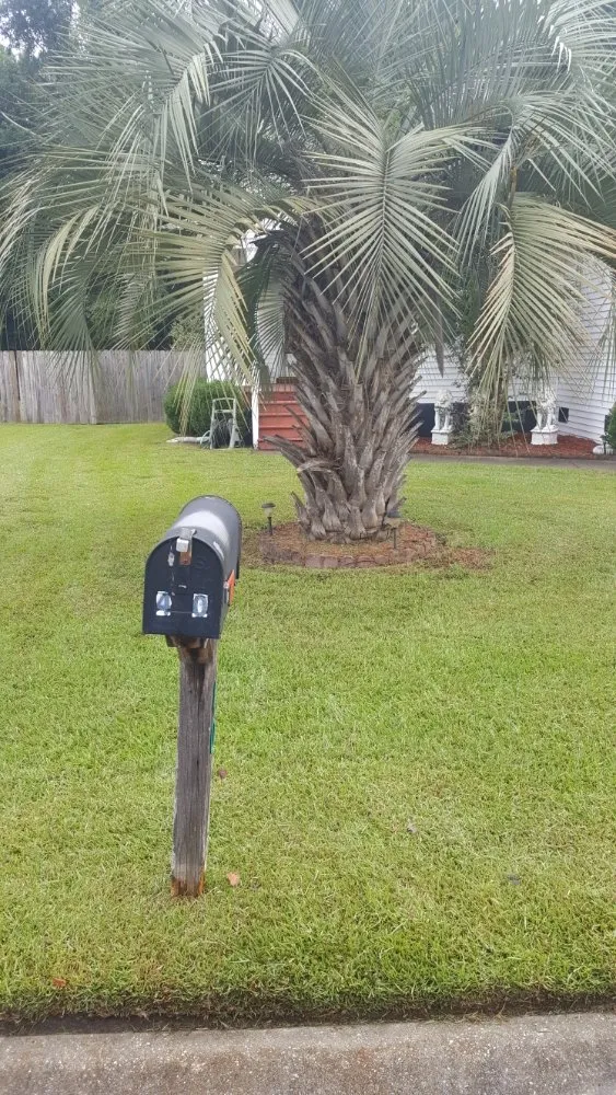 Top-rated lawn care service in Charleston, SC by Derrick Gadsden’s Lawn Care And More