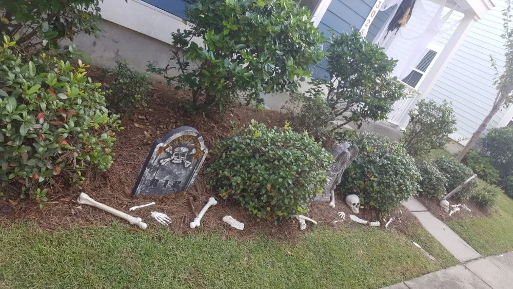 Reliable residential landscaping in Charleston, SC by Derrick Gadsden’s Lawn Care And More