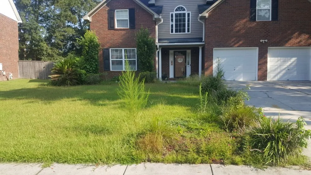 Trusted lawn care service experts serving Charleston, SC - Derrick Gadsden’s Lawn Care And More