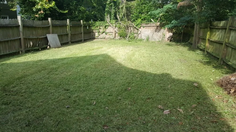 Local outdoor landscaping for year-round maintenance in Charleston, SC by Derrick Gadsden’s Lawn Care And More