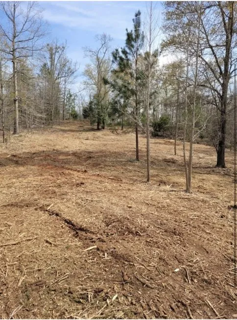 Trusted landscape design with custom design across Spartanburg, SC - Derrick's Green and Clean Services