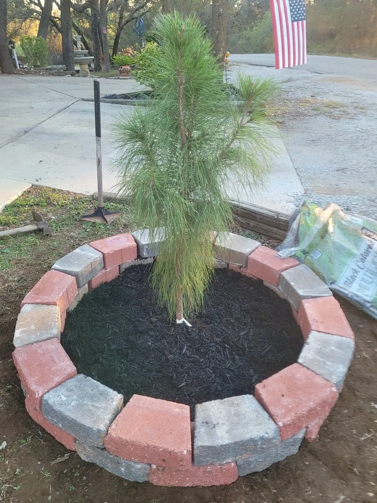 Local landscaping services in Brownwood, TX by Derrick's Outdoor Services