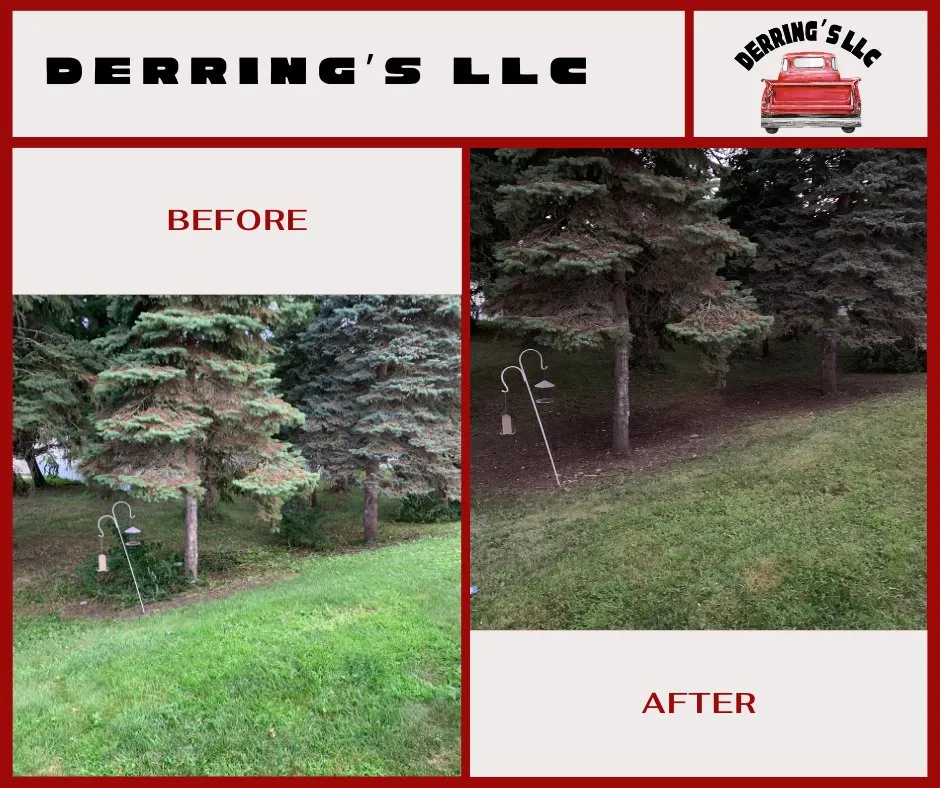 Local yard cleanup service for outdoor upgrades in Pleasant Prairie, WI by Derring’s