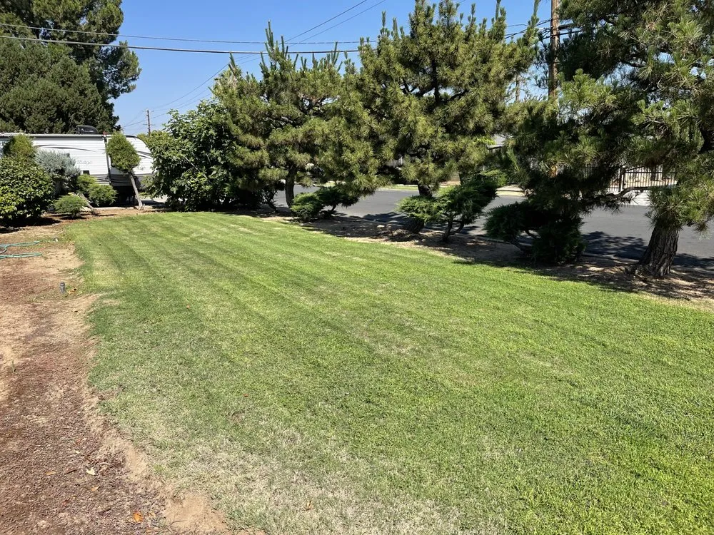 Top-rated garden landscaping for year-round maintenance across Fresno, CA - DES Landscaping