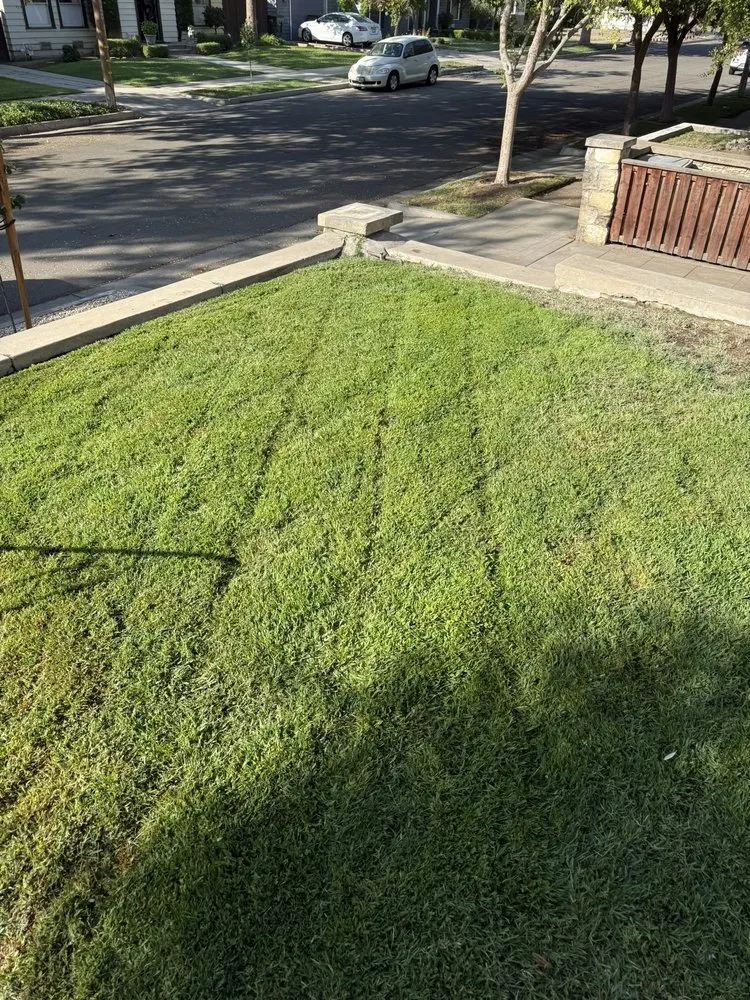 Expert yard cleanup service in Fresno, CA by DES Landscaping