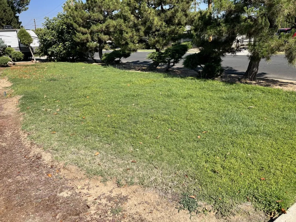 Custom landscaping services in Fresno, CA by DES Landscaping