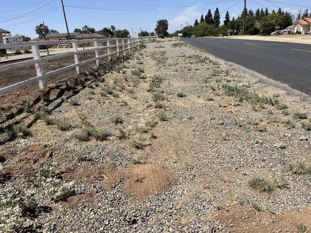 Reliable yard cleanup service for outdoor upgrades in Fresno, CA by DES Landscaping