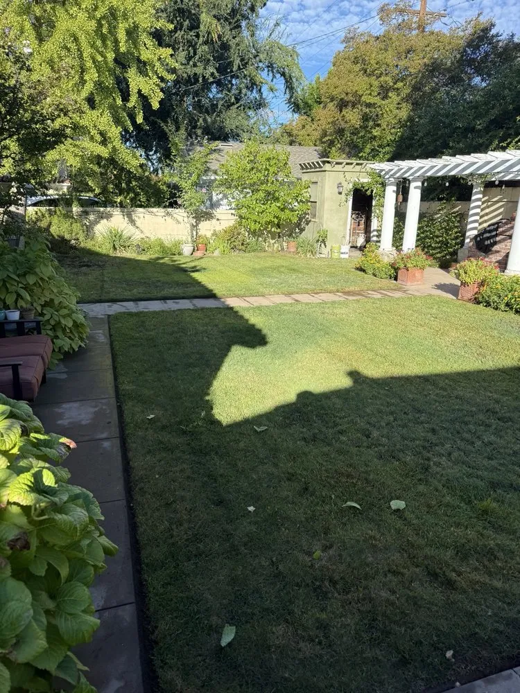 Expert yard cleanup service in Fresno, CA - DES Landscaping