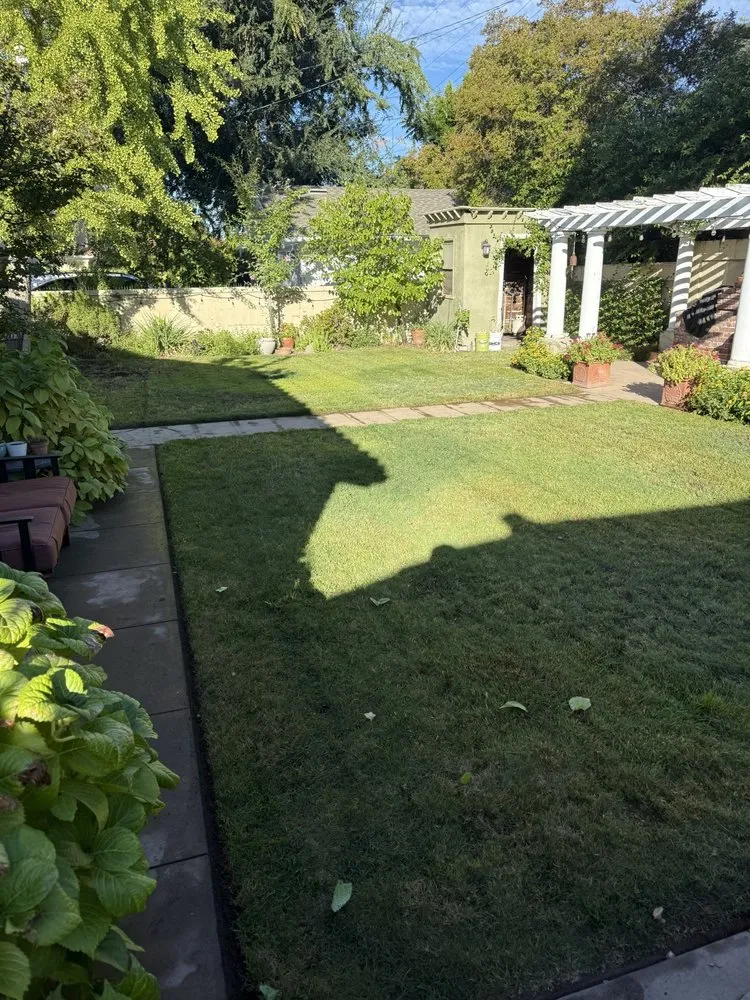 Custom landscape design in Fresno, CA by DES Landscaping