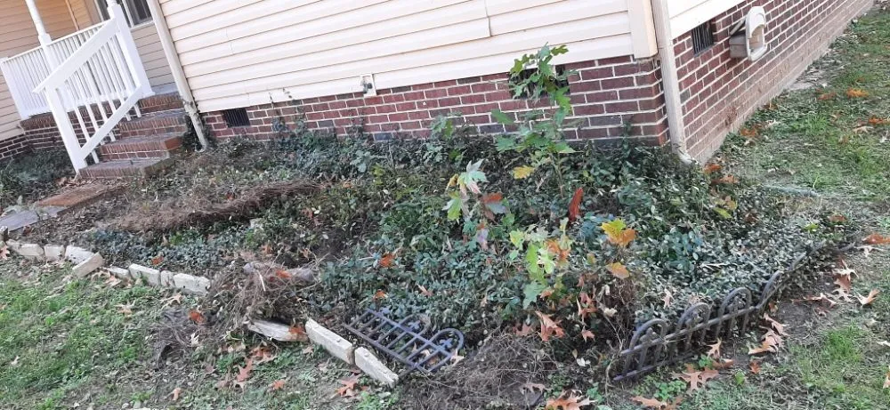 Top-rated garden landscaping for year-round maintenance in Smithfield, VA by Des Lawn Care