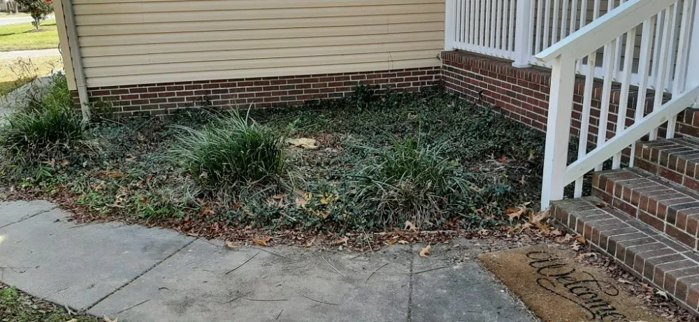 Top-rated lawn mowing service for beautiful yards in Smithfield, VA by Des Lawn Care