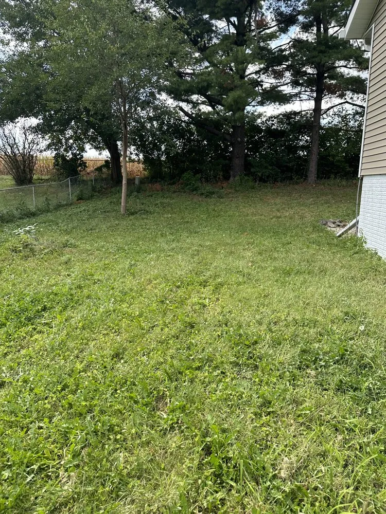 Local yard maintenance in Des Moines, IA by Des Moines Landscaping And Mowing