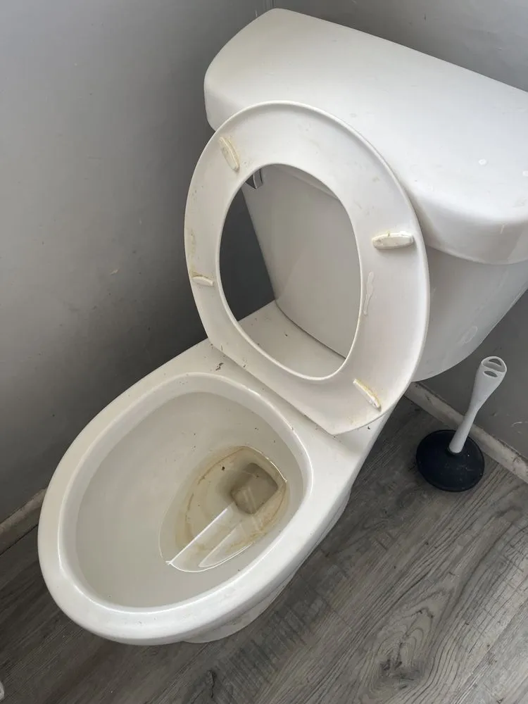 Local yard cleanup service experts serving Des Moines, IA - Des Moines Smart Solution