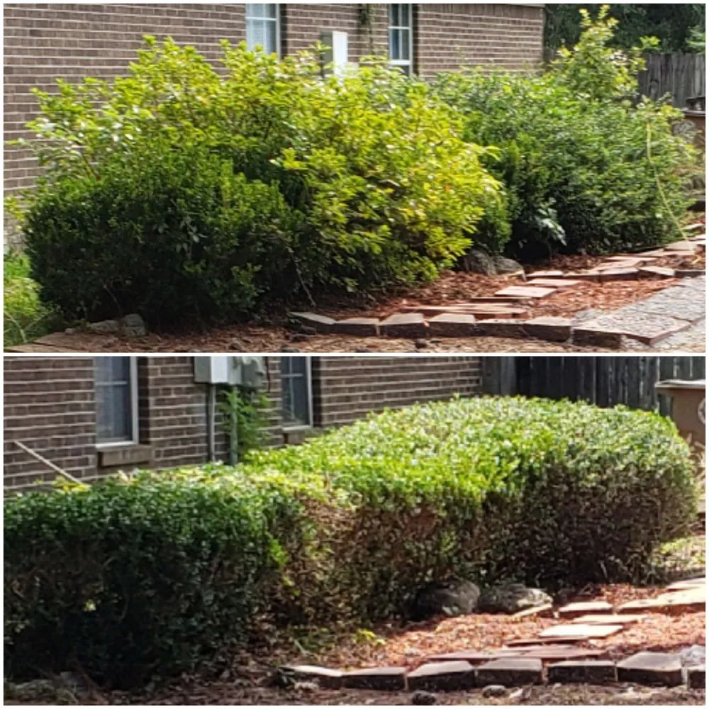 Reliable landscape design in Semmes, AL - De’s Nice Yards
