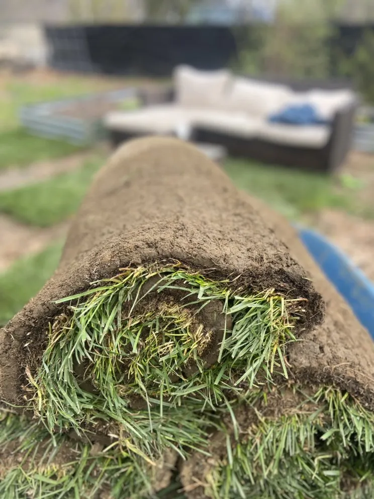 Professional landscape installation for beautiful yards across Hammonton, NJ - D&E’s Property Services