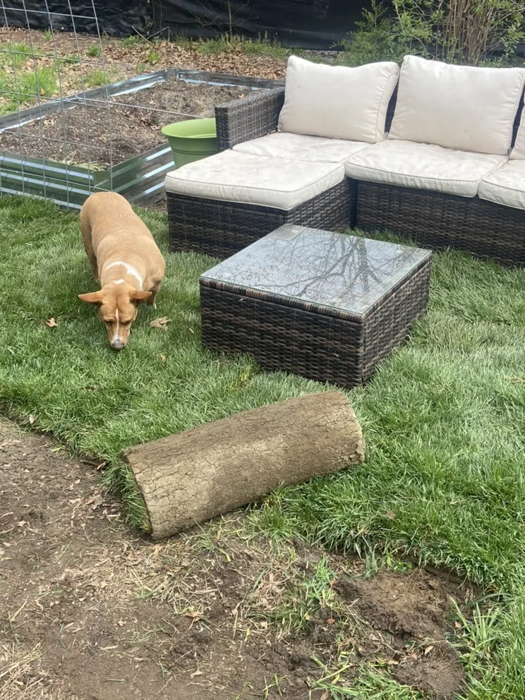 Top-rated landscape installation for outdoor upgrades in Hammonton, NJ by D&E’s Property Services