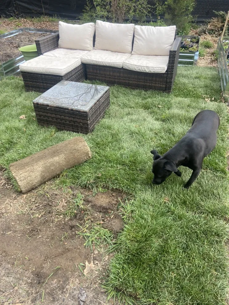 Affordable garden landscaping in Hammonton, NJ by D&E’s Property Services