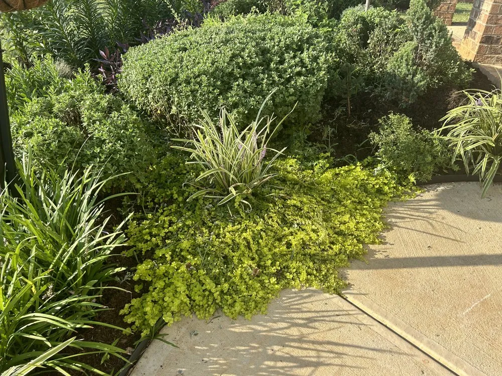 Affordable landscape design in Burlington, NC by DeSalvo Tree and Landscaping