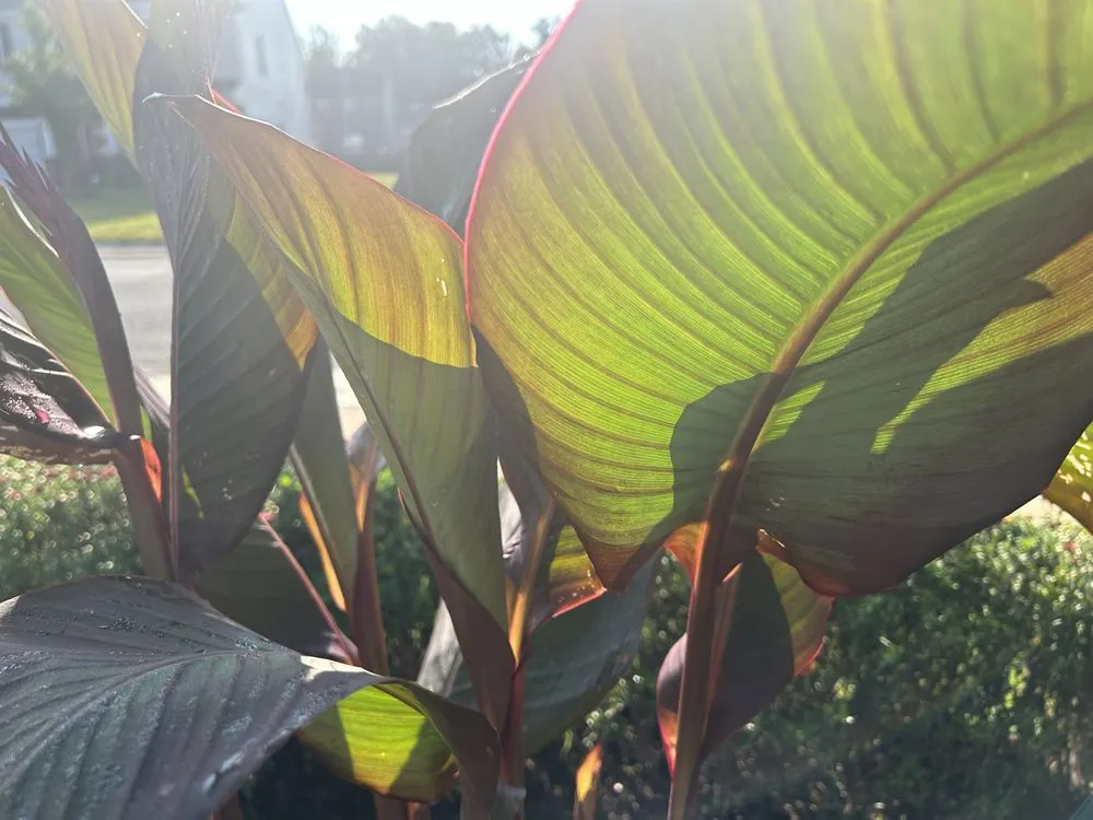 Custom garden landscaping in Burlington, NC - DeSalvo Tree and Landscaping