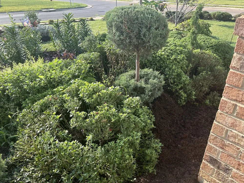 Local residential landscaping in Burlington, NC by DeSalvo Tree and Landscaping