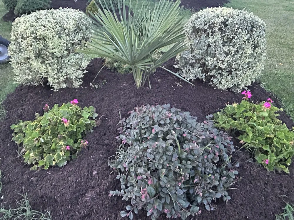 Top-rated landscaping services near you in Burlington, NC by DeSalvo Tree and Landscaping