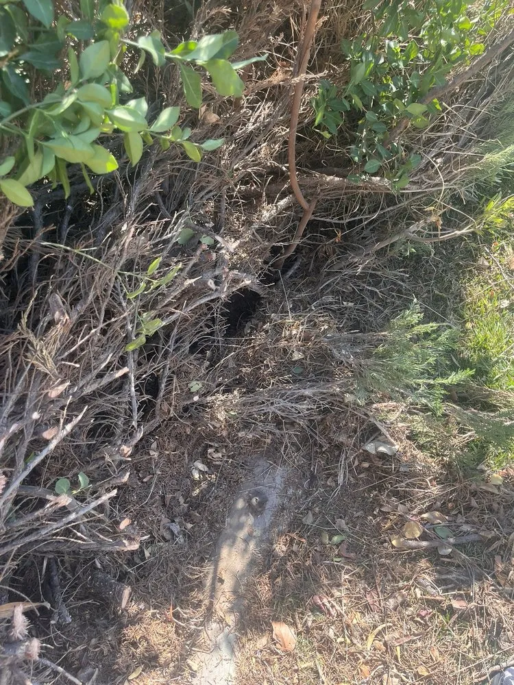 Custom landscaping services with custom design across Las Vegas, NV - DeSantiago Landscape Services