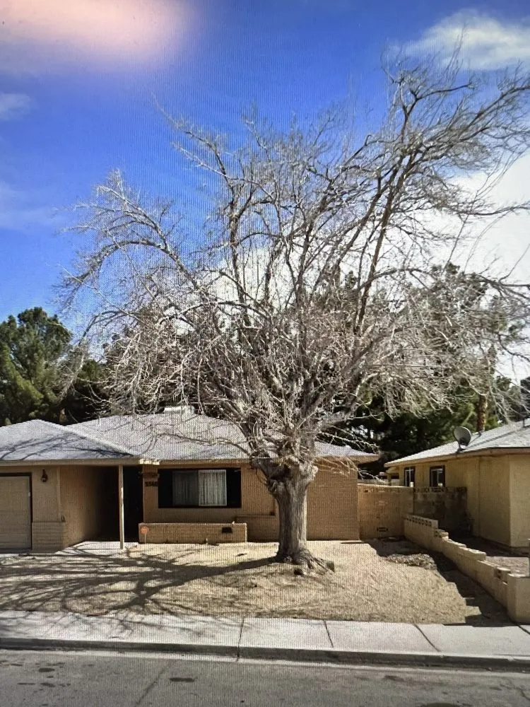 Expert yard maintenance experts serving Las Vegas, NV - DeSantiago Landscape Services