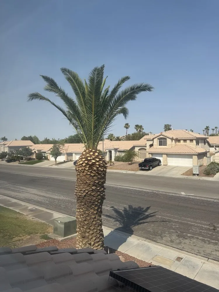 Professional residential landscaping experts serving Las Vegas, NV - DeSantiago Landscape Services