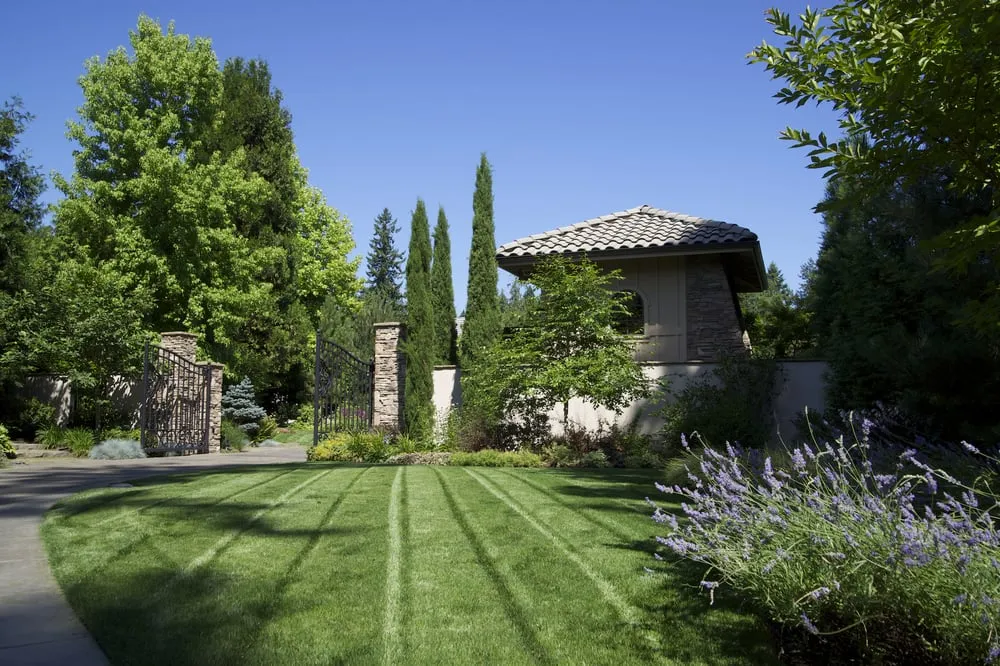 Affordable yard maintenance in Salem, OR by DeSantis Landscapes