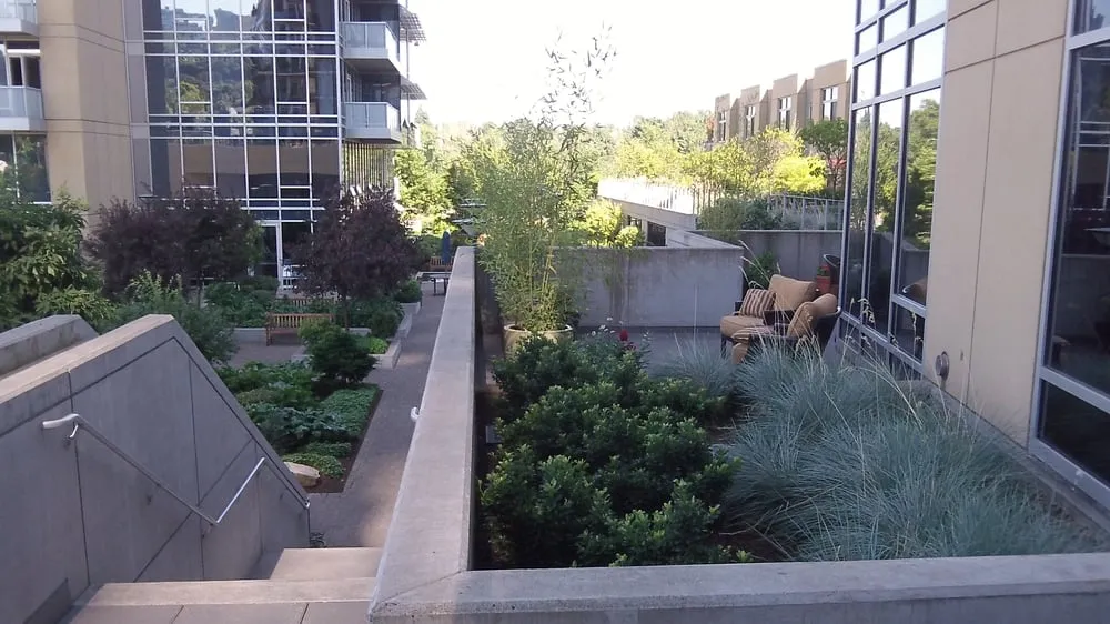 Reliable landscape design experts serving Salem, OR - DeSantis Landscapes