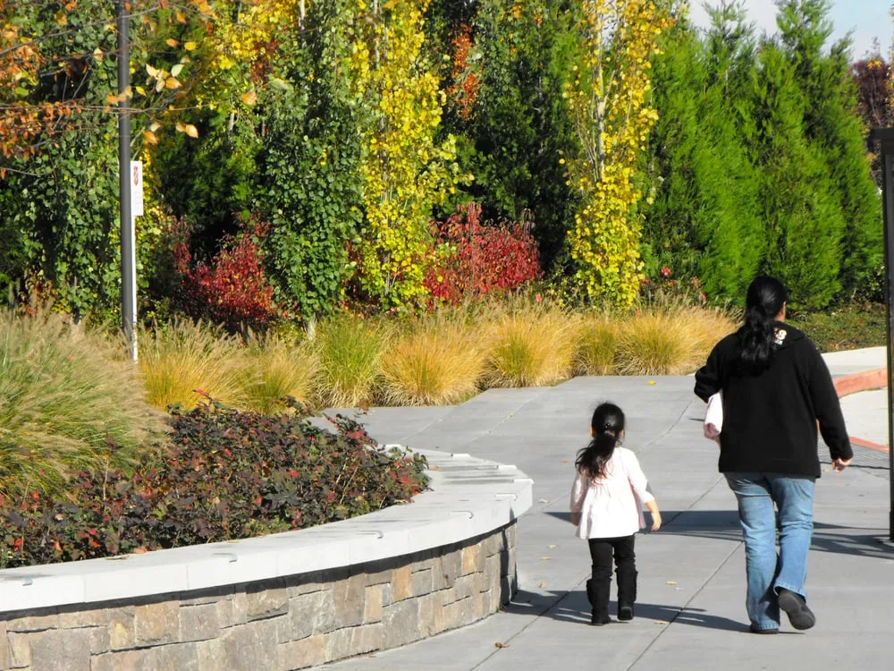 Expert residential landscaping in Salem, OR by DeSantis Landscapes