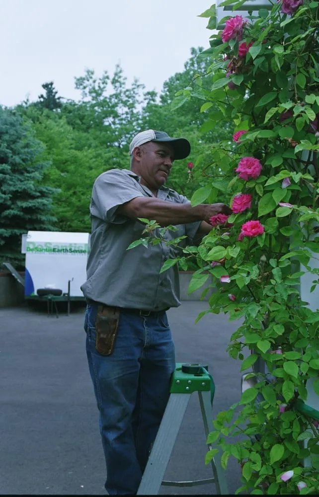 Custom lawn care service for homes in Salem, OR by DeSantis Landscapes