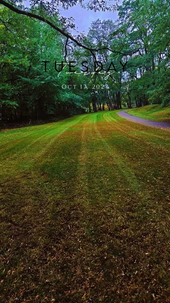 Reliable yard maintenance for beautiful yards across Erie, PA - Desantis outdoor service