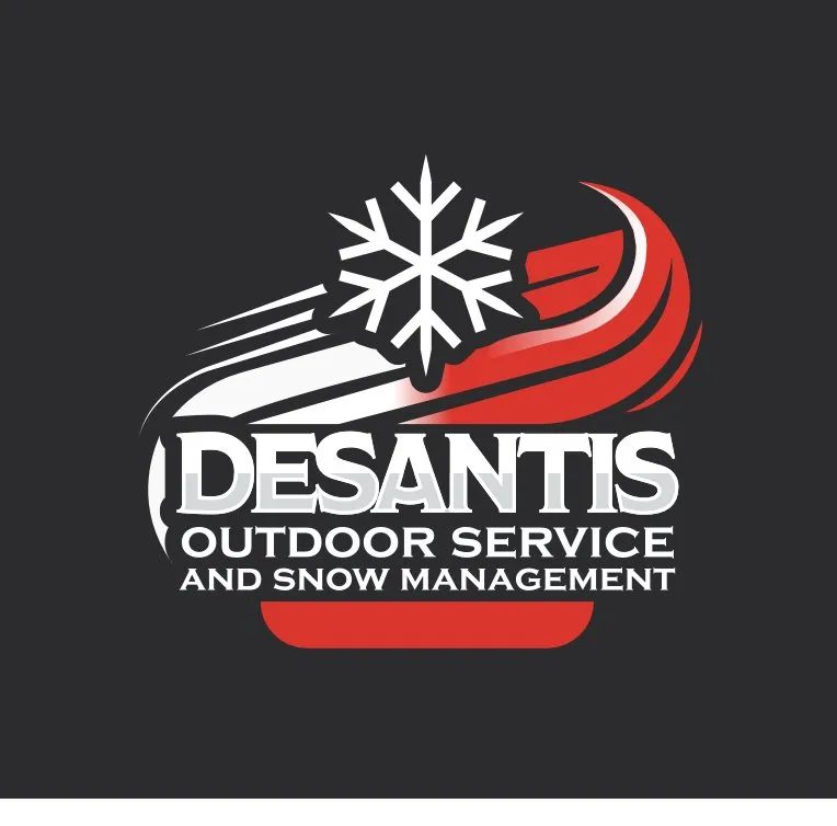 Custom landscape design experts serving Erie, PA - Desantis outdoor service