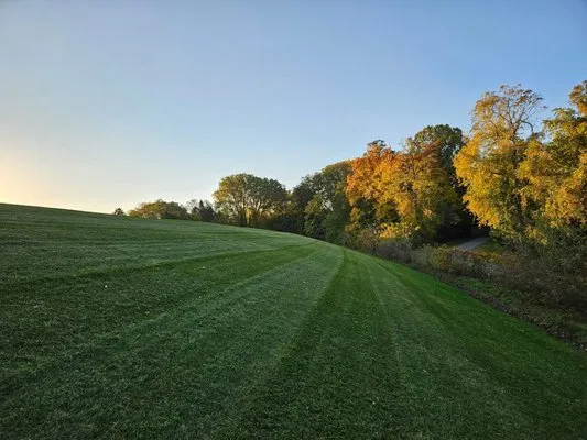 Desantis outdoor service Logo